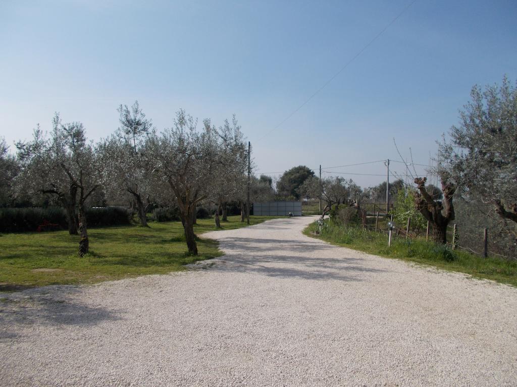 מלון טיבולי Casa Degli Ulivi מראה חיצוני תמונה