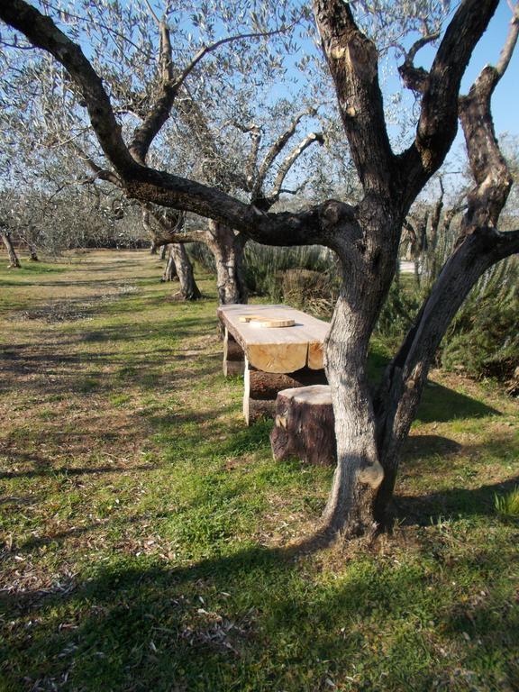 מלון טיבולי Casa Degli Ulivi מראה חיצוני תמונה